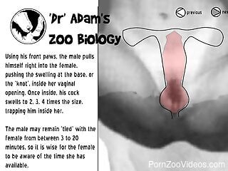 Dr Adam will teach you how to fuck with a dog
