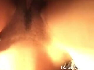 Closed-up amateur zoo porn video of dirty fucking