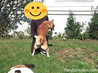 Clothed woman wants to fool around with her dog