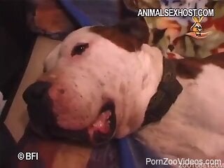 Curvy woman in her 40s loudly fucks with the dog