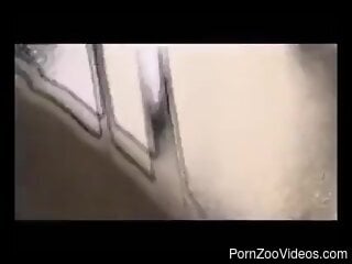 Curvy female tries dog cock from behind in superb scenes