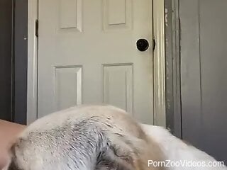 Dog licks woman's ass and fucks her in intense homemade scenes