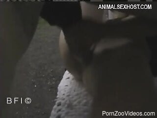 Big white horse takes part in a kinky bestiality