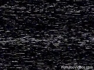 Brunette hottie shoves the dog's cock in each of her holes