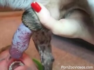 Deepthroat blowjob during hot bestiality