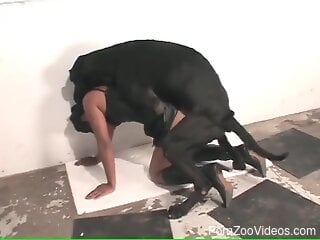 Tanned brunette is ready for anal zoo sex at home