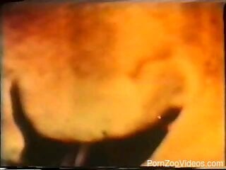 Non-stop bestiality is exactly what hottie needs