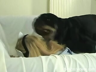 Amateur babes fuck with their dogs in a home compilation