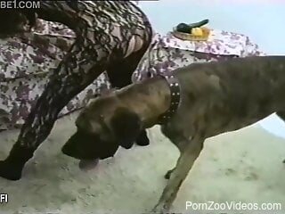Amateur woman combines nude masturbation with dog perversions