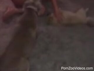 Hot blonde likes to play sexual games with her dog