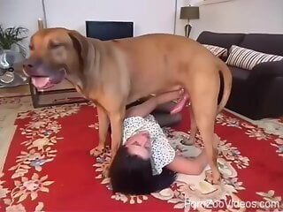 Clothed female filmed on the floor when she sucks her dog's cock