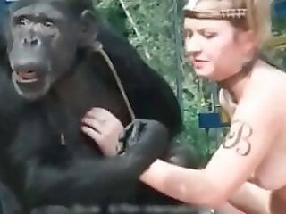 Zoophilia porn and animal sex