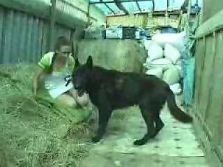 Animal porn videos and ZOO PORN