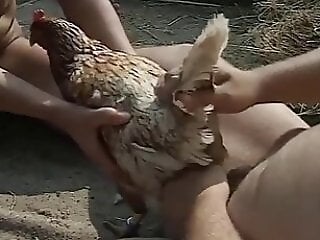 ZOO Porn and bestiality tube