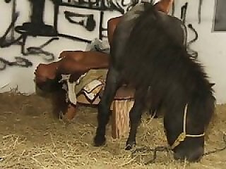 Zoo porno and bestiality