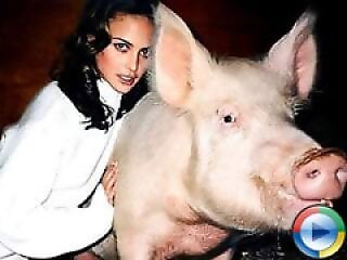 Zoo porno and bestiality