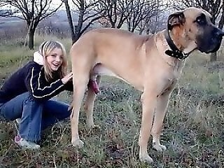 Dog Fuck