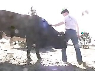 Zoo porn and zoo sex video