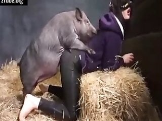 Zoo Porn