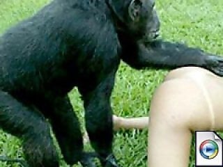 Animal porn and zoo sex