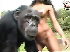 Zoo Sex